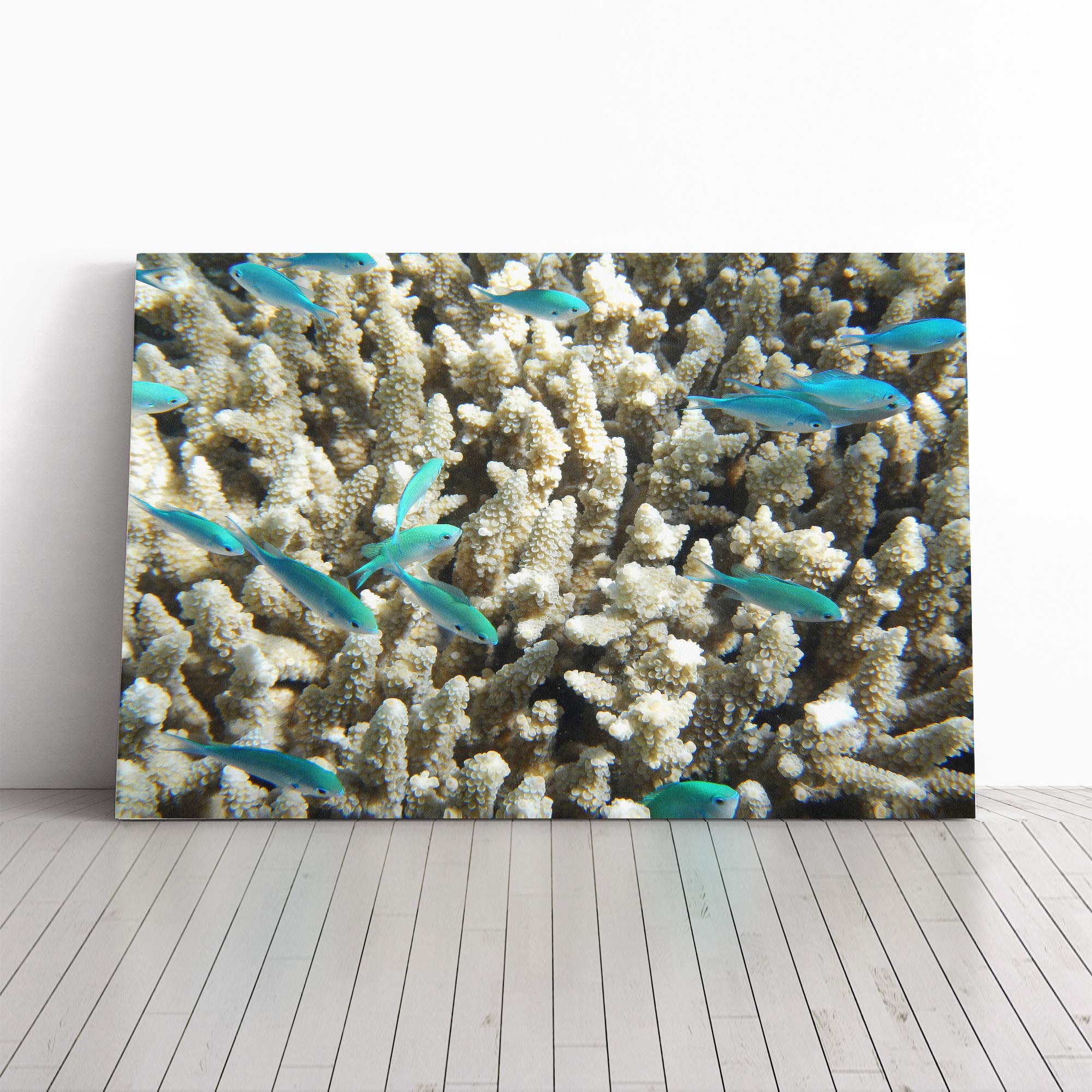 Coral Reef Blue Fish Canvas Print | Gallery Wrapped 30mm Frame Wall Art | 20x14 inches | Ready to Hang | Modern Animals Picture | Living Room Bedroom Lounge Office