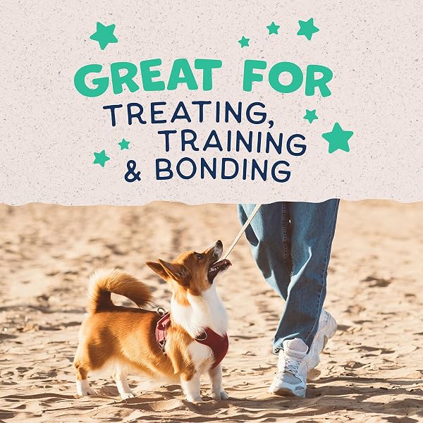 NATURAL BALANCE LIMITED INGREDIENT REWARDS CRUNCHY BISCUITS, BITE-SIZE TREATS FOR SMALL-BREED DOGS, MADE WITH REAL CHICKEN, 8 OUNCE (PACK OF 1)