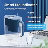 Waterdrop Lucid 3.5L Filter Jug with WD-PF-01A Plus 90 Days Filter Red/Blue view 7