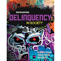 Delinquency in Society book cover