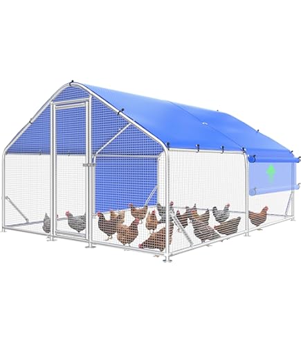 Amazon.com: Goohome 10 ft. x 20 ft. Large Chicken Coop Metal