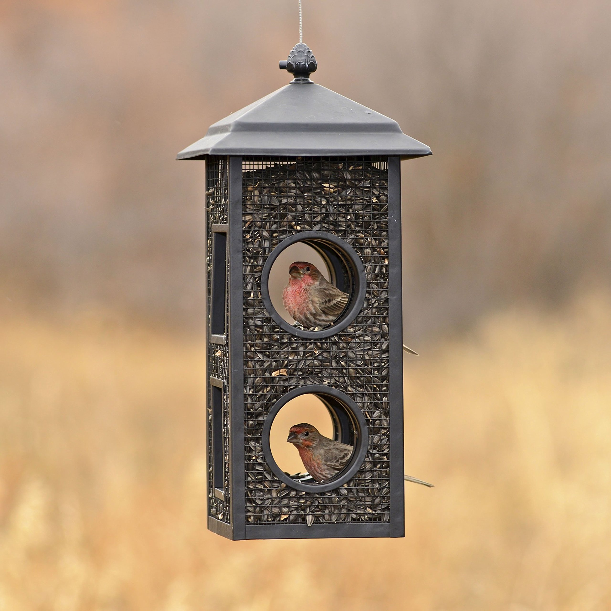 PerkyPet B00303 FlyThrough Wild Bird Feeder 78978150201 eBay