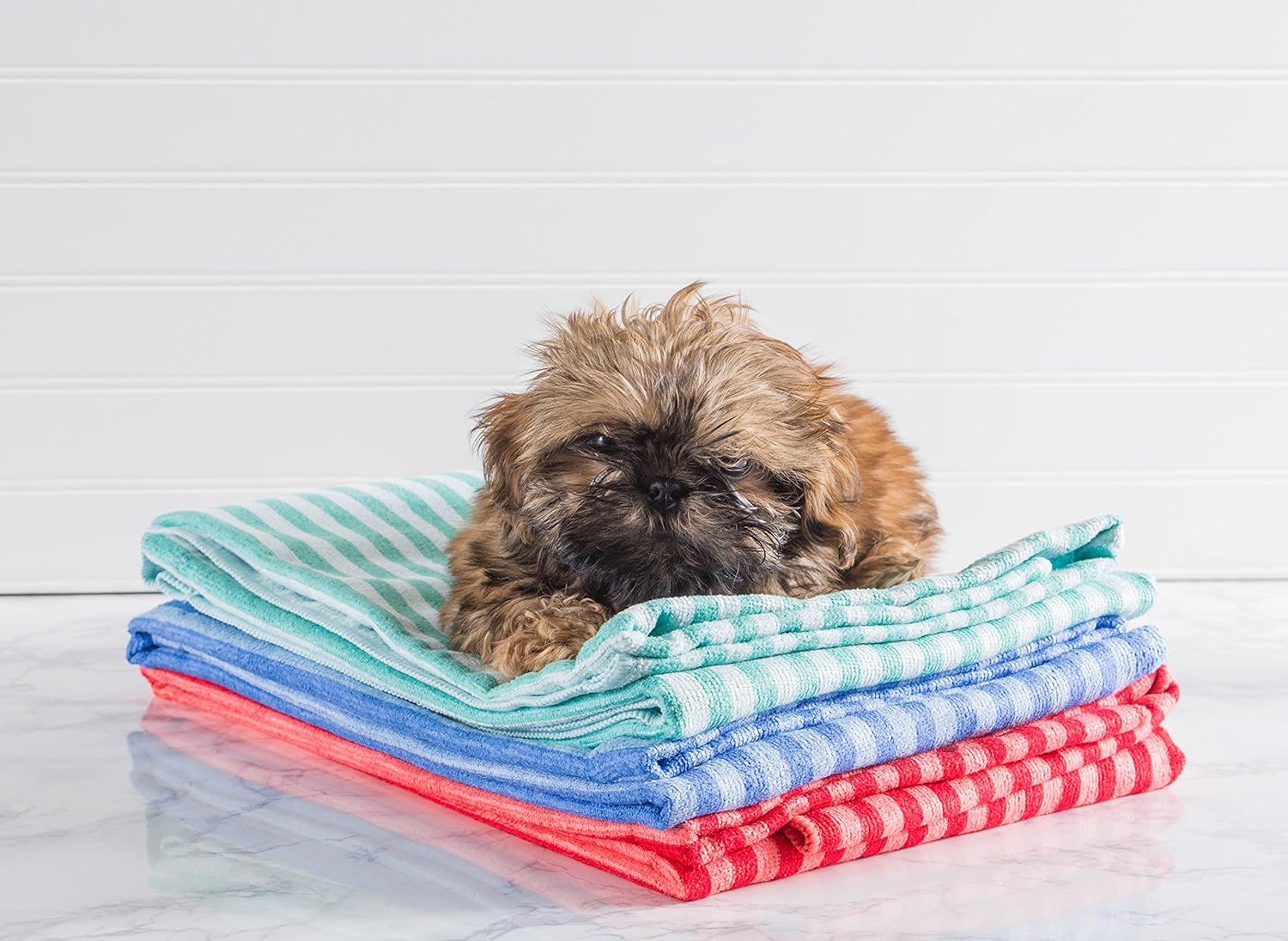 Best Dog Drying Towel For Your Dog (2020 Reviewed)
