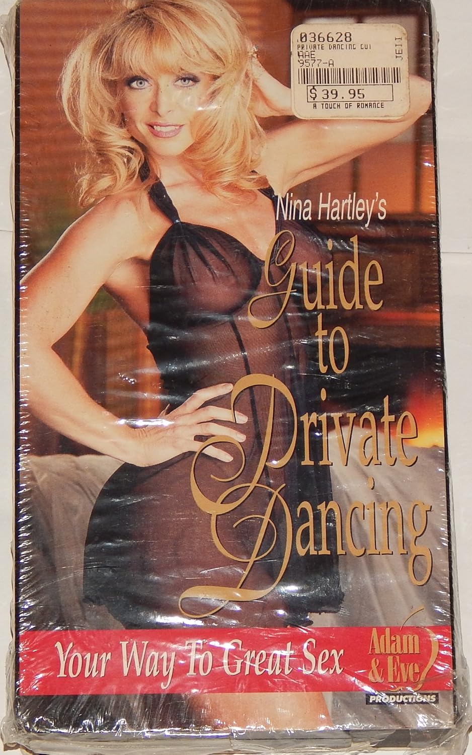 Nina Hartley Guide To Private Dancing Vhs Video Movies And Tv 