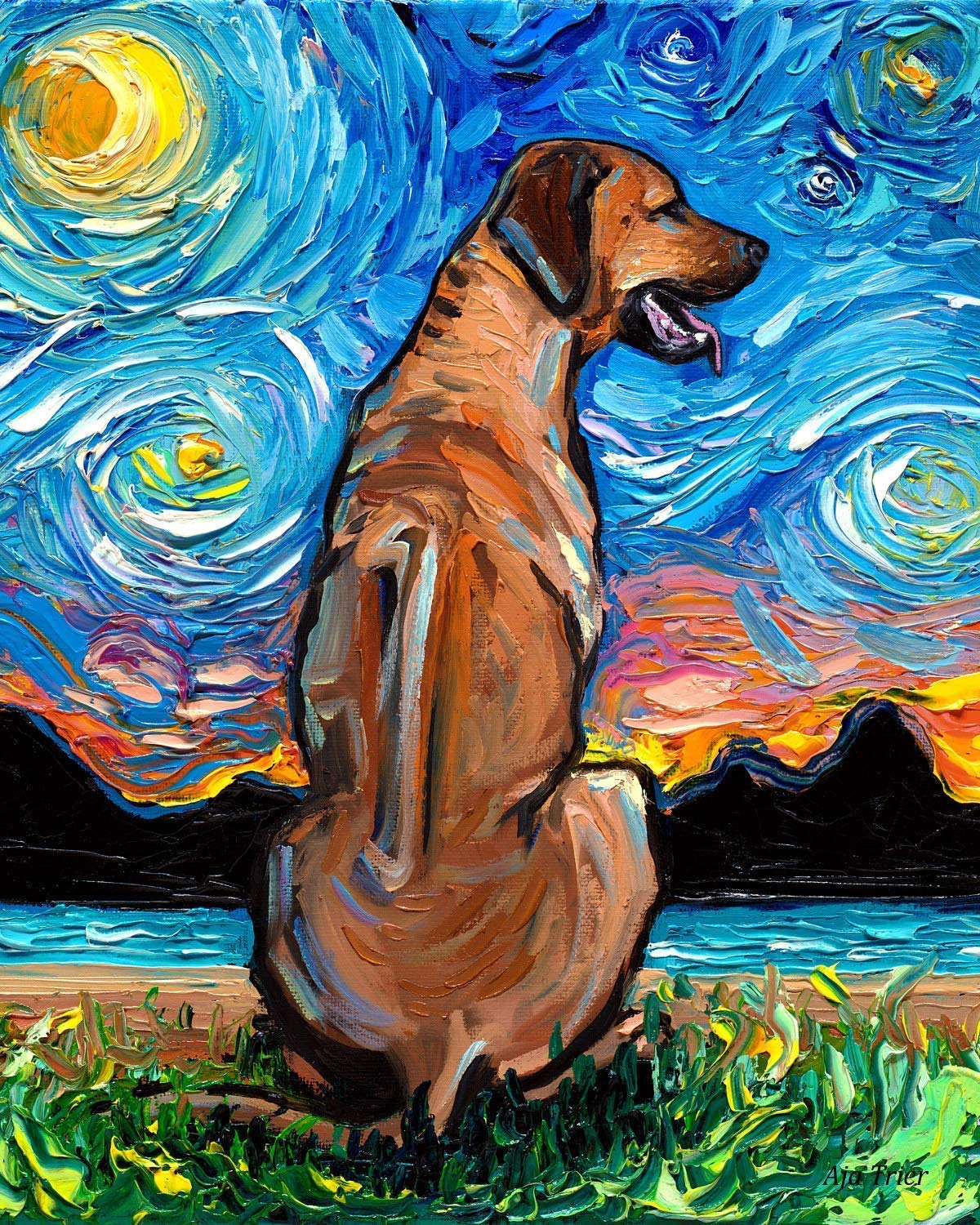 introducing cats to each other