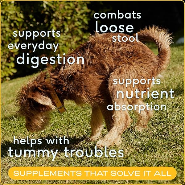 NATIVE PET ORGANIC PUMPKIN FOR DOGS (8 OZ) – ALL-NATURAL, ORGANIC FIBER FOR DOGS – MIX WITH WATER TO CREATE DELICIOUS PUMPKIN PUREE – PREVENT WASTE WITH A CANNED PUMPKIN ALTERNATIVE! (8 OZ)