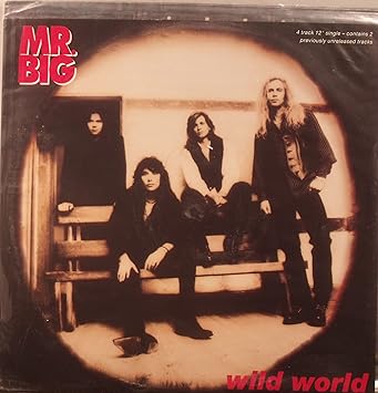 Mr Big Wild World Amazon Com Music