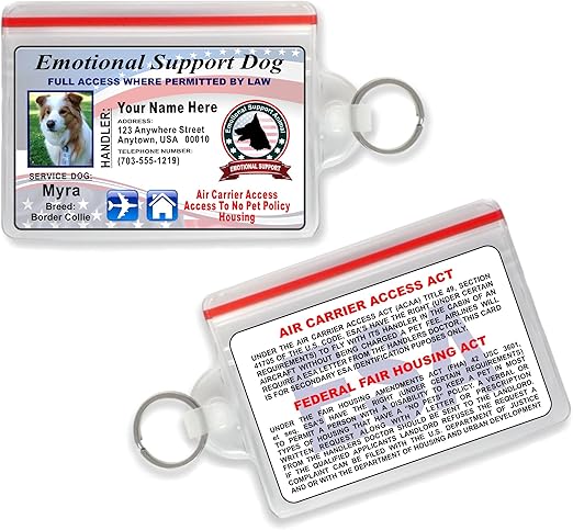 support dog requirements