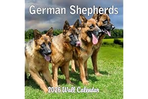 BLUE WOLF CALENDAR COMPANY 2026 German Shepherds Monthly Wall Calendar | Dog Calendar September 2025 - December 2026