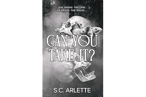 Can You Take It? A Dark Enemies-to-Lovers Romance