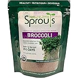 Nature Jim's Sprouts Broccoli Sprout Seeds - Certified Organic Broccoli Sprouting Seeds for Indoor/Outdoor Use - Rich in Sulf