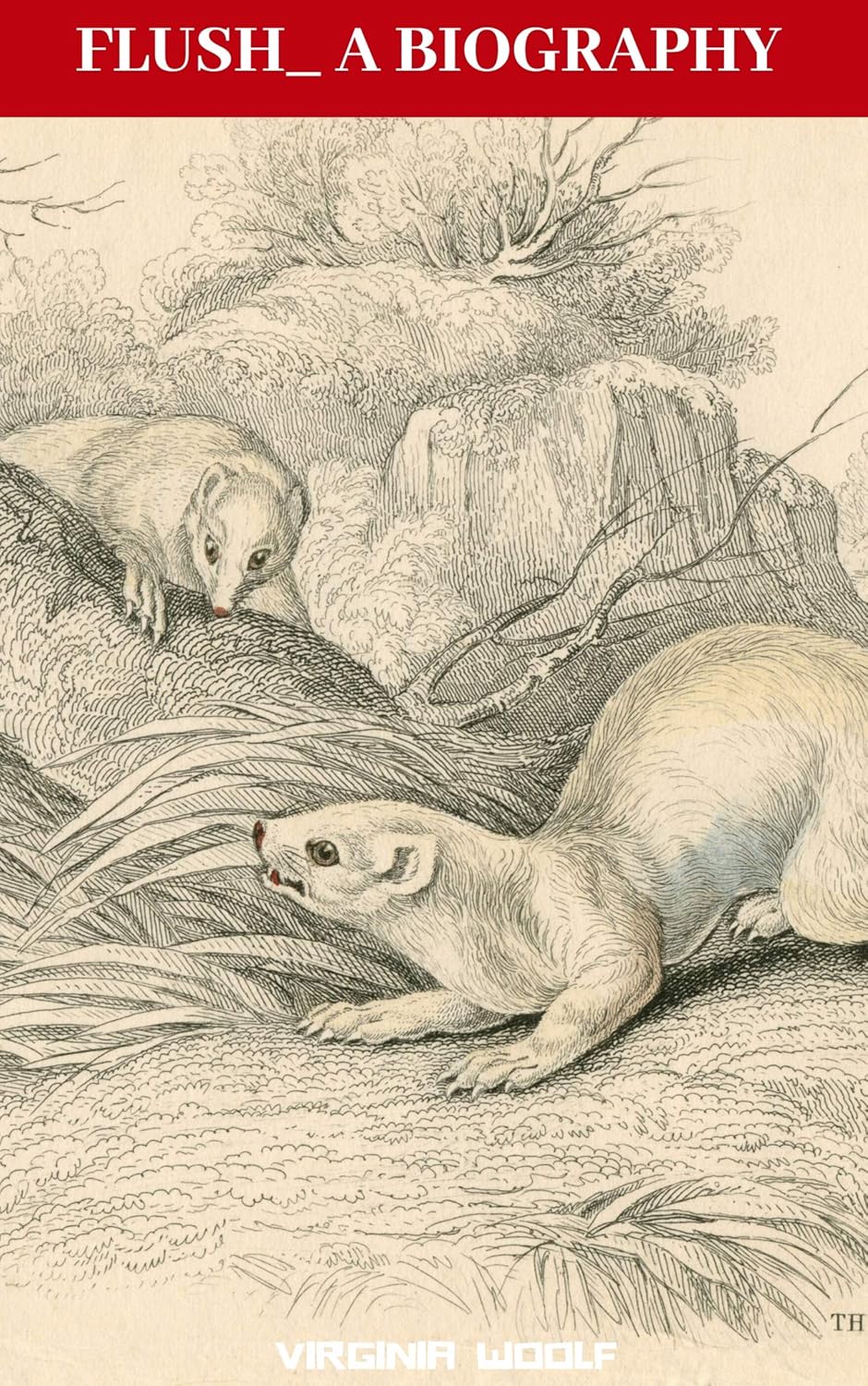 Flush A Biography Ebook Virginia Woolf Amazon Co Uk Kindle Store