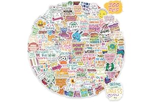 BARRELTREE 300PCS Motivational Sticker, Inspirational Words Stickers for Teens Adults Students Teacher Employees Vinyl Encouraging Positive Affirmation Stickers for Water Bottles Laptop Decals Scrapbook Journal