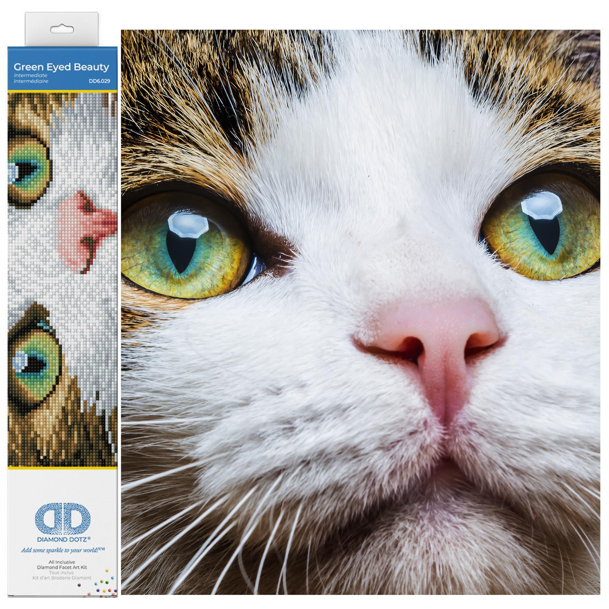 Diamond Painting Kit, Intermediate, DD6, Green Eyed Beauty