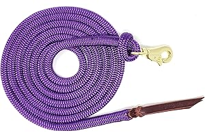 Knotty Girlz 9/16 Double Braid Polyester Yacht Horse Lead Rope Natural Horsemanship with Option of Loop or Snap 12ft. or 14ft. Lengths (Purple, 14 ft. Brass Trigger Snap)