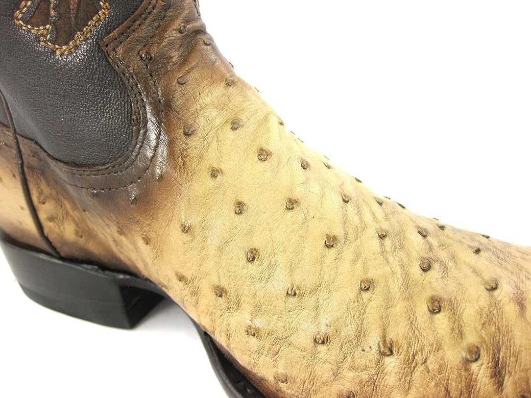 botas avestruz cuadra