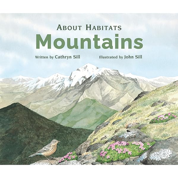 KARST LANDFORMS/Marjorie.M.Sweeting著 Earth Surface Processes and Landforms | Geomorphology