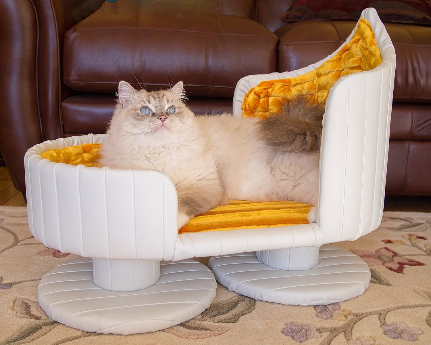 happy trails and tails