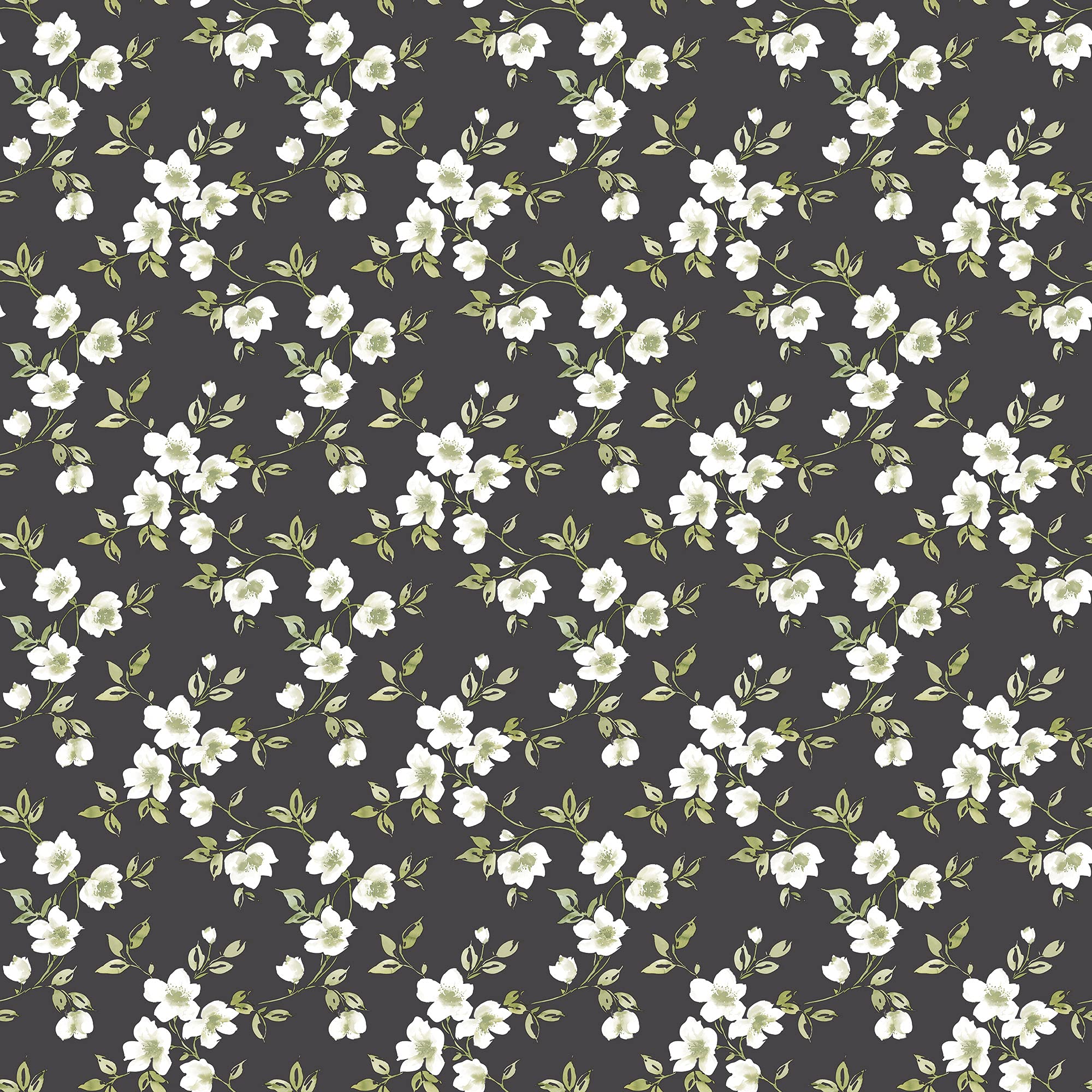Galerie G78480 Secret Garden Anemone Mini Wallpaper, Black/Cream, 10m x 53cm