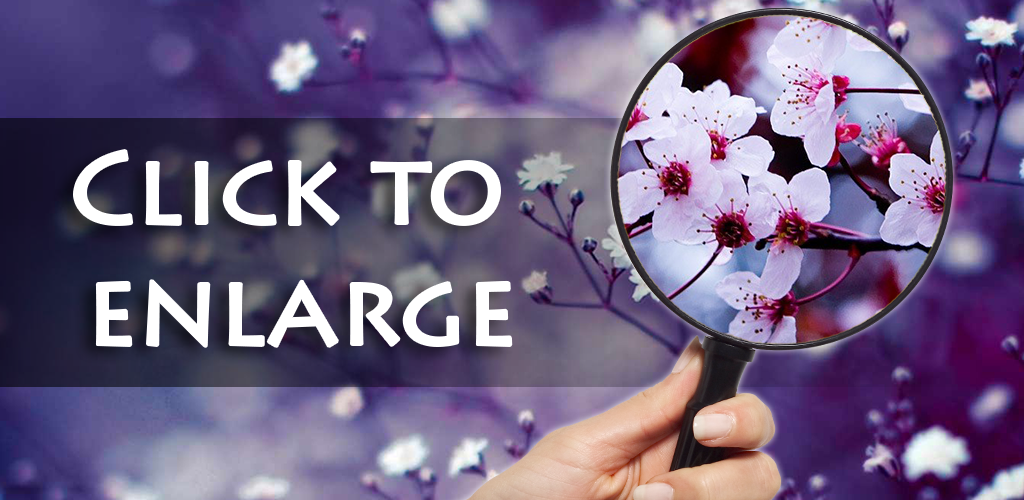 Magnifying Glass VS Flashlight - //medicalbooks.filipinodoctors.org