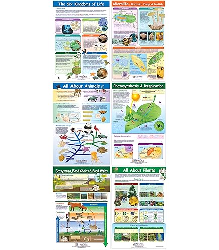 Decorably 16 Science Posters For Classroom - 11x17in Science Classroom Decor High School Science - View #6