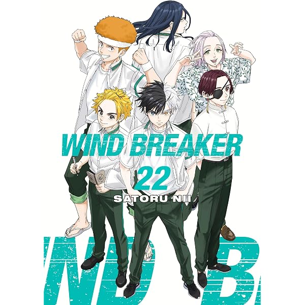WIND BREAKER 20: Nii, Satoru: 9798888776193: Amazon.com: Books