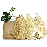 Miw Piw Natural Loofah Dish Sponge Pack 3 Vegetable Scrubber for Kitchen -100% Biodegradable Compostable Dishwashing Scouring