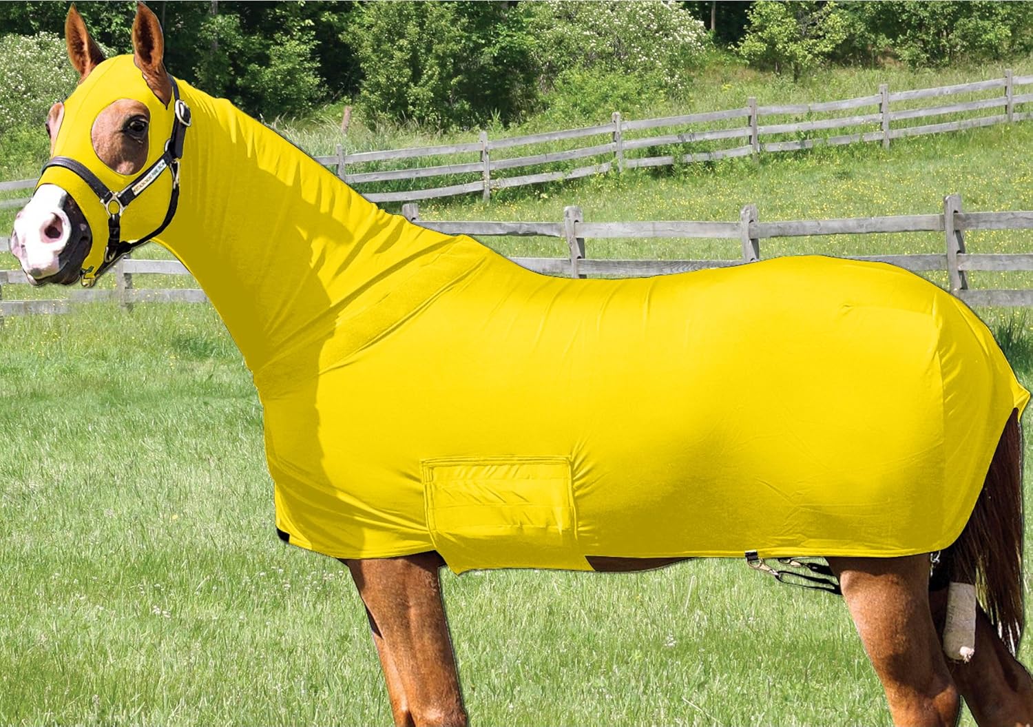 Amazon Com Q A Supply Horse Full Body Sleazy Slicker Sheet