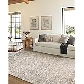 Loloi Amber Lewis Alie Collection ALE-02 Sand/Sky 5'-3'' x 7'-9'', .13'' Pile Height, Area Rug