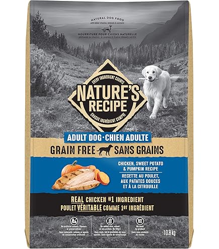 Nature's Recipe Adult Grain Free Natural Dry Dog Food Lamb