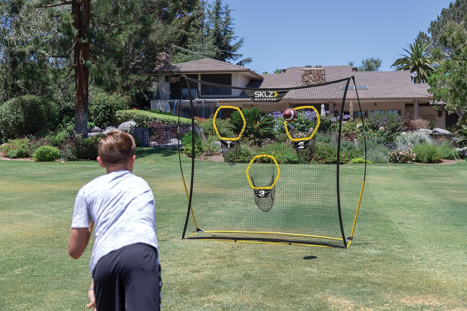 Training net. Training net