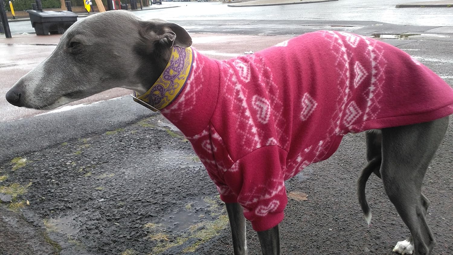 18"20" only whippet fleece jumper Amazon.co.uk Pet Supplies