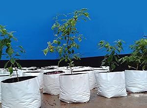 ROCHFERN Portable UV Treated Virgin Polyethylene Grow Bag (24x24x40 cm) - Set of 15