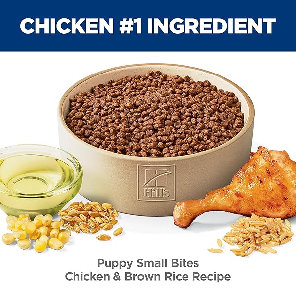 HILL’S SCIENCE DIET PUPPY SMALL BITES DRY DOG FOOD, CHICKEN & BROWN RICE, 12.5 LB. BAG