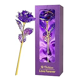 Childom Mothers Day Rose Gifts for Mom,Birthday