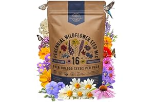 Organo Republic 16 Perennial Wildflower Seeds Mix for Indoor & Outdoors. 100,000+ Non-GMO, Heirloom Wildflower Garden Seeds, 4oz Packet for Growing Wild Flowers to Attract Bees, Butterflies & Birds