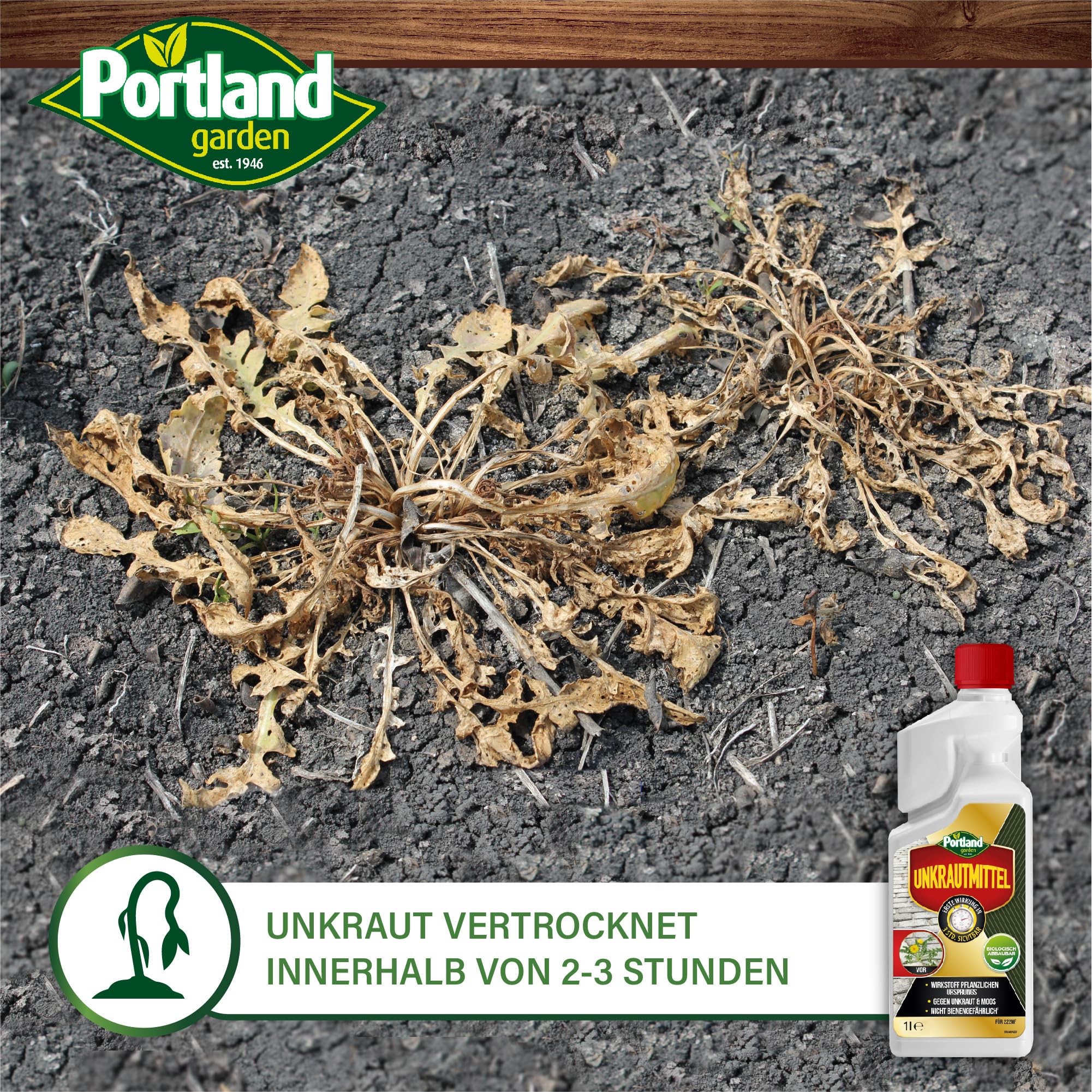 Portland Garden Moosbekämpfung 500 ml Konzentrat Unkrautvernichter ohne Glyphosat extra stark gegen Moos, Gräser, Unkraut bis zu 220 m² Flächenleistung entfernt Unkraut schnell & effektiv 3