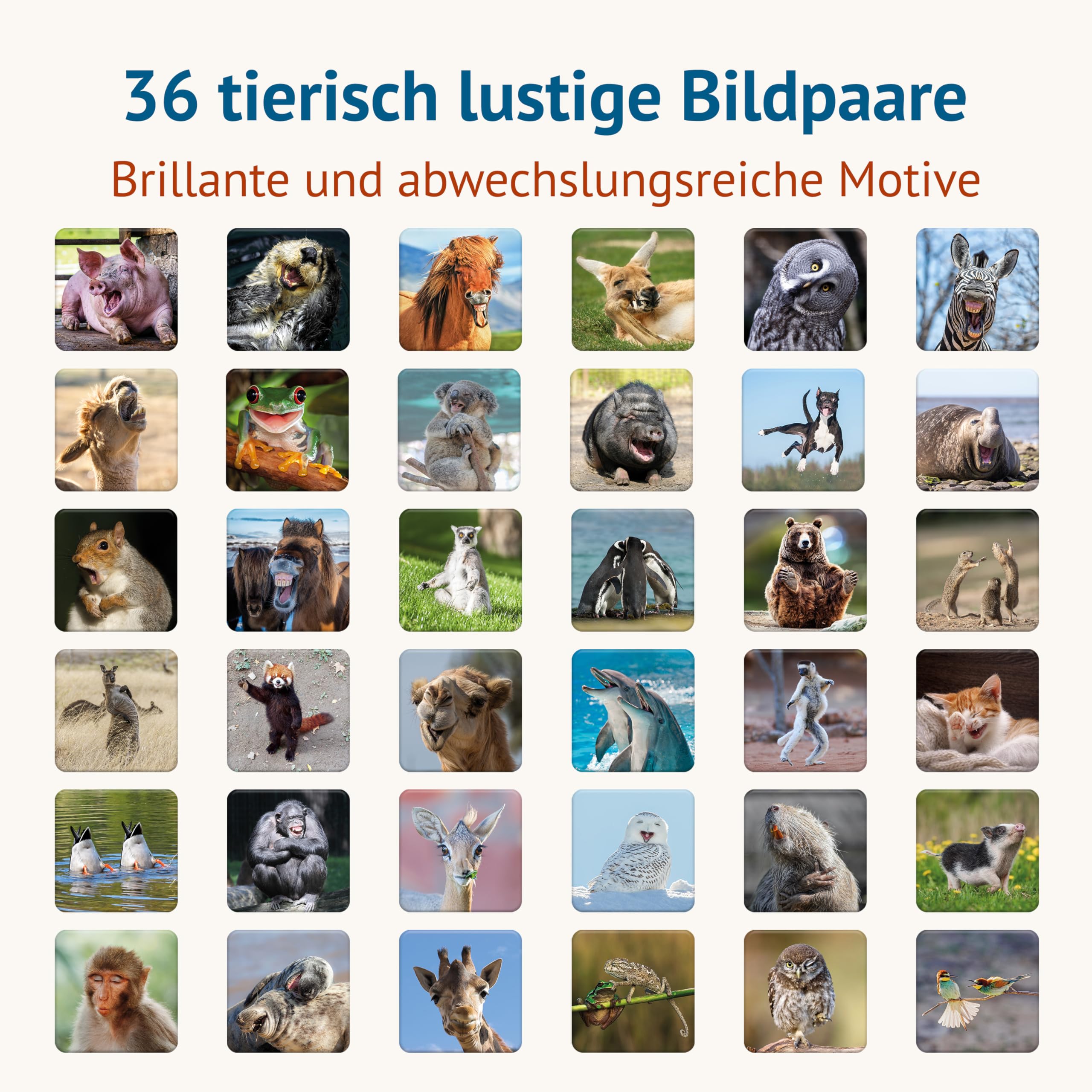 Starnberger Spiele - Tierisch Lustig - Memospiel - Kartenspiel für Erwachsene und Kinder ab 6 Jahren - Geschenk für Tierliebhaber 2