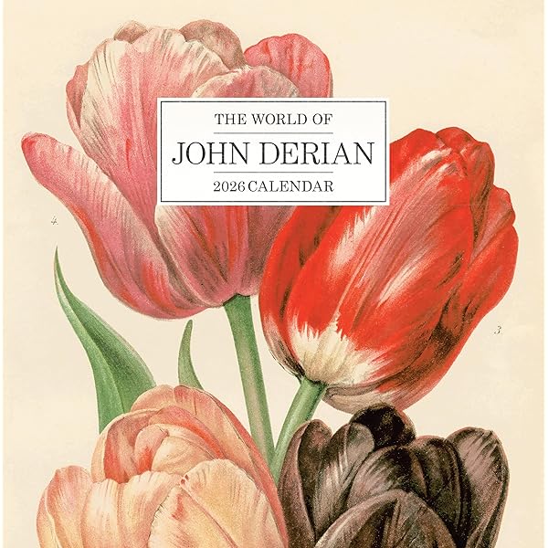 John Derian Picture Book (John Derian Paper Goods): Derian, John