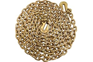 SCIEO G80 Transport Binder Chain 5/16'' x 20FT Heavy Duty Logging Chain, Tie Down Binder Chain with Safety Grab Hooks, 4,900 lbs Safe Working Load Trailer Chain for Cargo, Transporting Binding&Towing