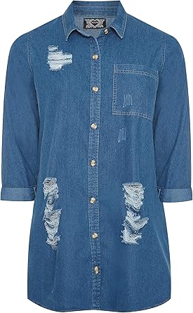 denim shirt womens plus