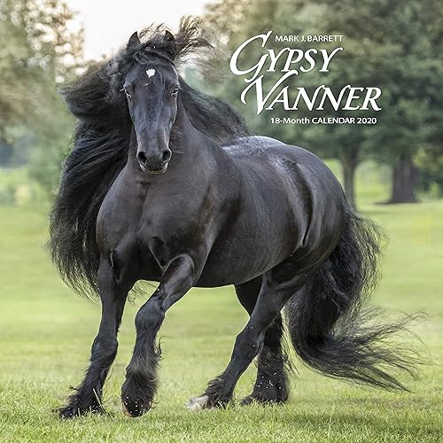Download Gypsy Vanner 2020 Calendar PDF