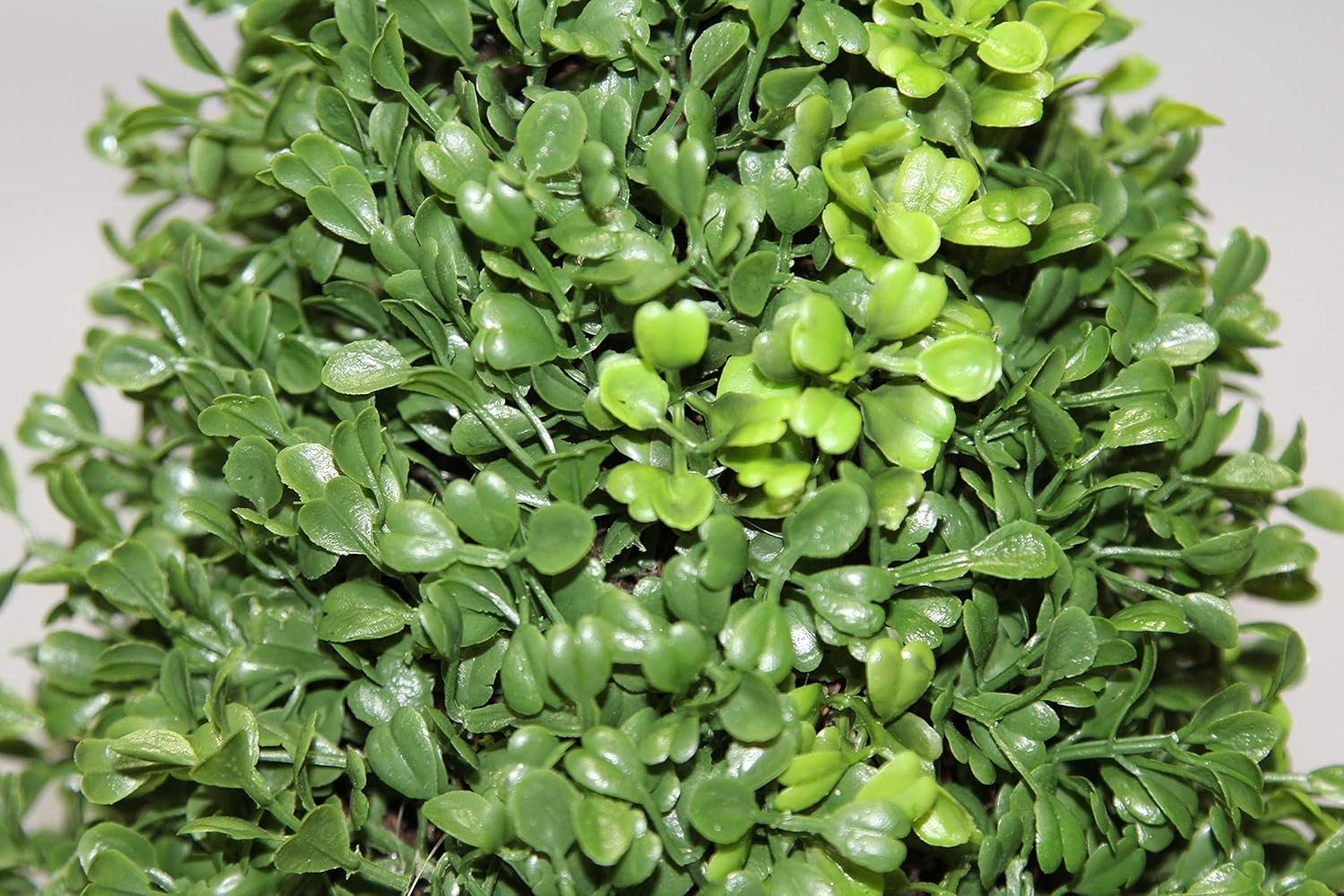 Admired by Nature 2 x 3' Aritificial Boxwood Leave Spiral Topiary Plant Tree in Plastic Pot, Green/Two-Tone -