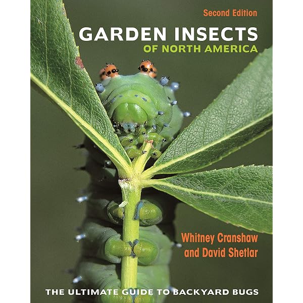 Amazon.com: Agrios' Plant Pathology eBook : Oliver, Richard: Kindle Store