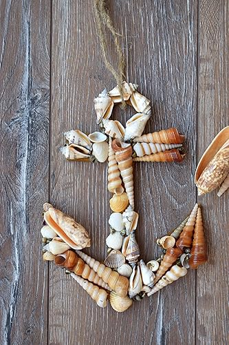 Download Rustikaler beachy dekor For iPhone Free