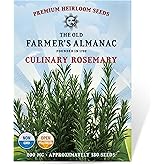 The Old Farmer's Almanac Heirloom Culinary Rosemary Herb Seeds - Premium Non-GMO, Open Pollinated, Drought &amp; Cold Tolerant (1 Packet - 200 MG - Approx 180 Seeds)