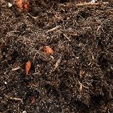 Westland Cacti Succulent Potting Mix with Seramis 4 L Brown 60x3x29 cm view 3
