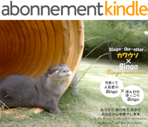 Download Bingo Memories (Japanese Edition) PDF