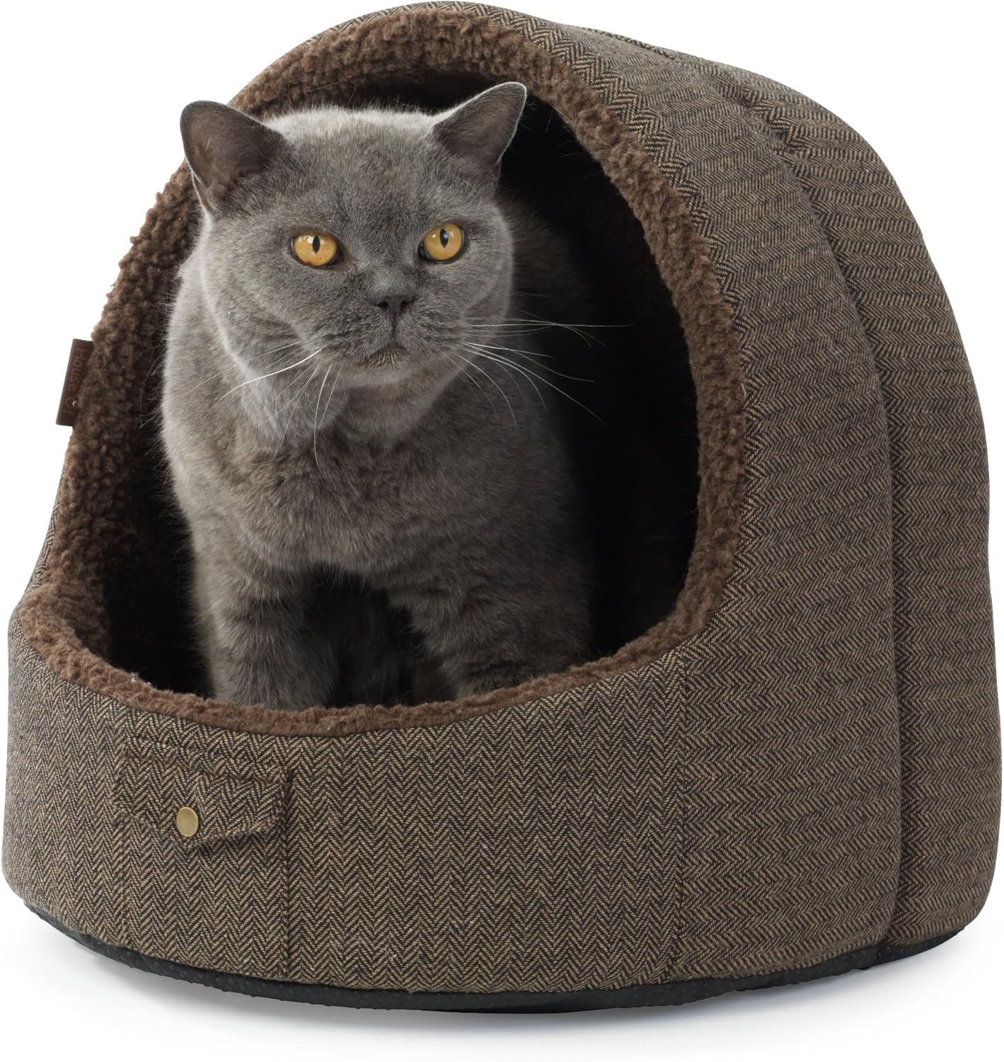 happy trails and tails