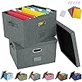 JSungo 2 Pack File Box with 10 Hanging Filing Folders, Document Organizer Storage with Lid, Collapsible Linen Hanging Filing Organization, Office Portable Storage with Handle, Dark Grey